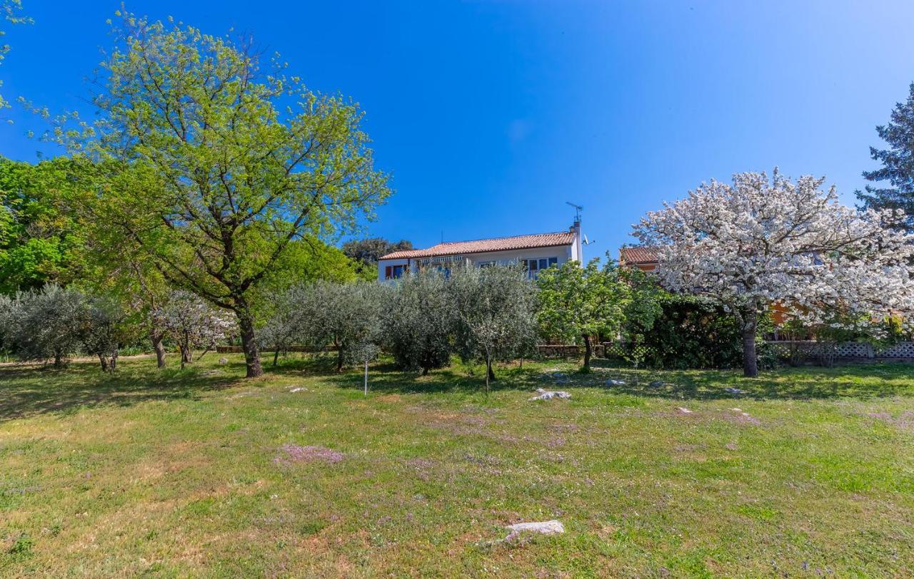 Ana Poreč Exterior foto